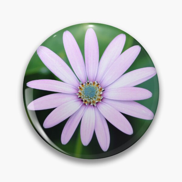 Item preview, cape daisy designed and sold by iago rodriguez dopico.