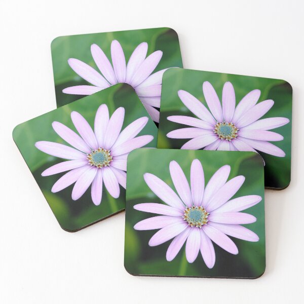 Item preview, cape daisy designed and sold by iago rodriguez dopico.