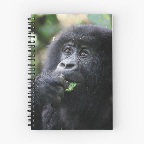 Item preview, Juvenile Mountain Gorilla, Kwitonda Group, Rwanda designed and sold by Carole-Anne.