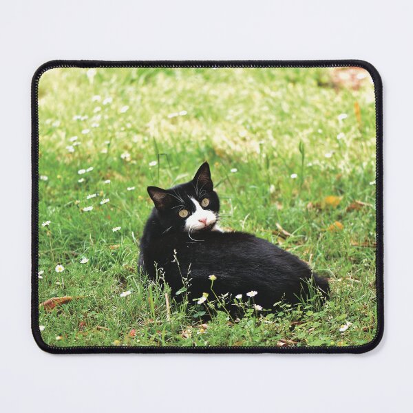 Item preview, Hello Friends designed and sold by Nerone.