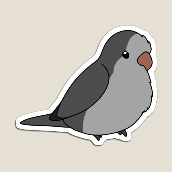 Artikelvorschau, Grauer Quäker/Mönchsittich Birb entworfen und verkauft von FindingMindely.