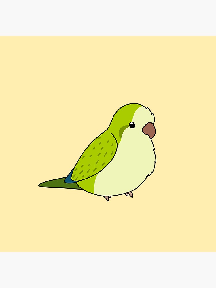 Green Opaline Quaker/Monk Parakeet Birb