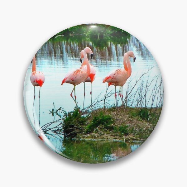 Item preview, A Flamboyance of Flamingos  designed and sold by Julie Carey.