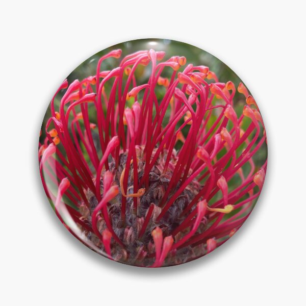 Item preview, Grevillea designed and sold by indiafrankk.