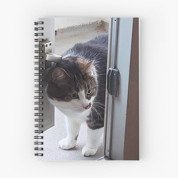 Item preview, Cat Entering a House designed and sold by hajarsdeco.