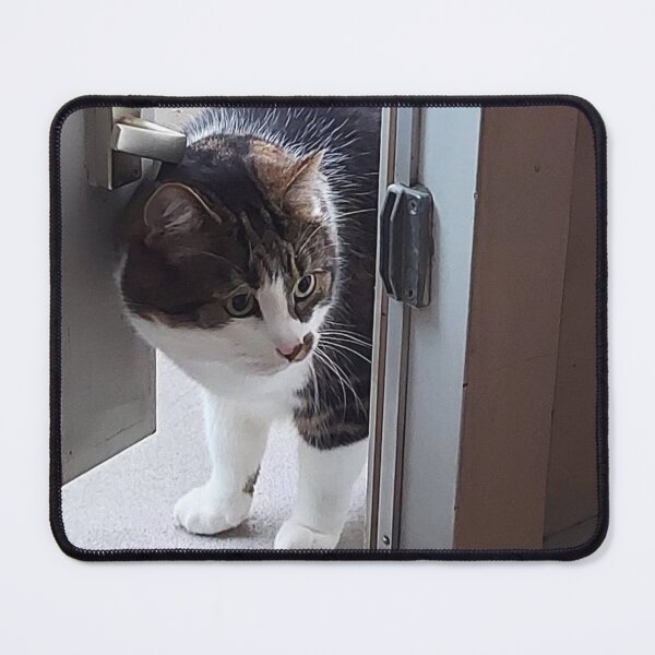 Item preview, Cat Entering a House designed and sold by hajarsdeco.