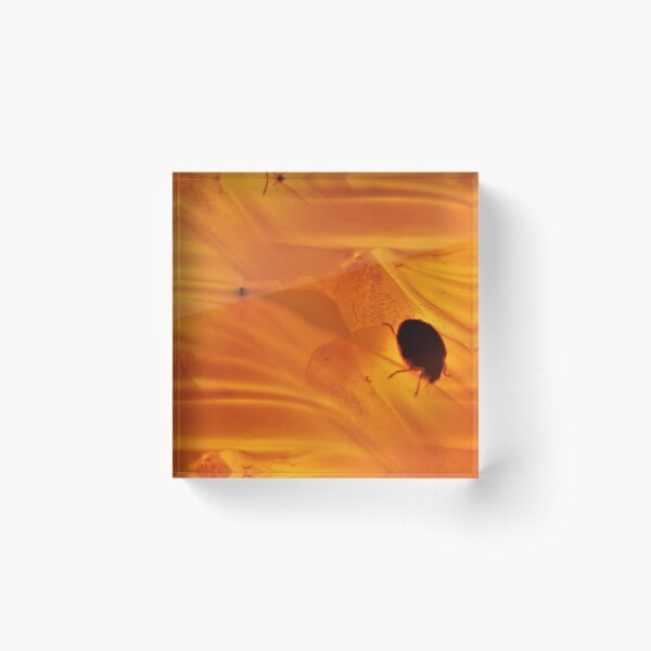 Ladylight 2 Acrylic Block