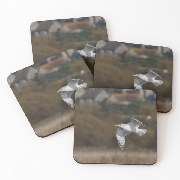 Item preview, Herring Gull designed and sold by LaurenTucker.