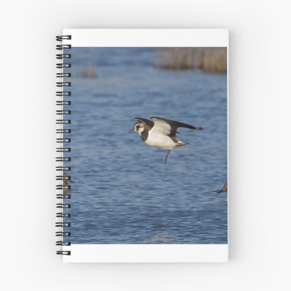 Item preview, Lapwing designed and sold by LaurenTucker.