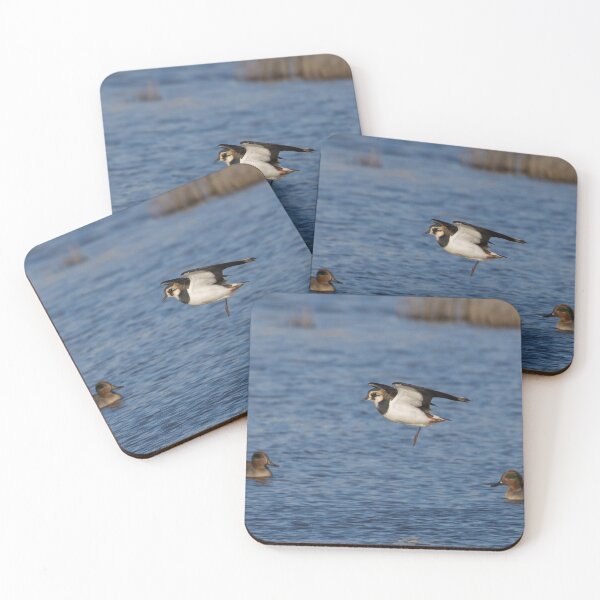 Item preview, Lapwing designed and sold by LaurenTucker.