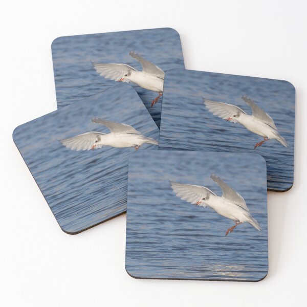 Item preview, Mediterranean Gull designed and sold by LaurenTucker.