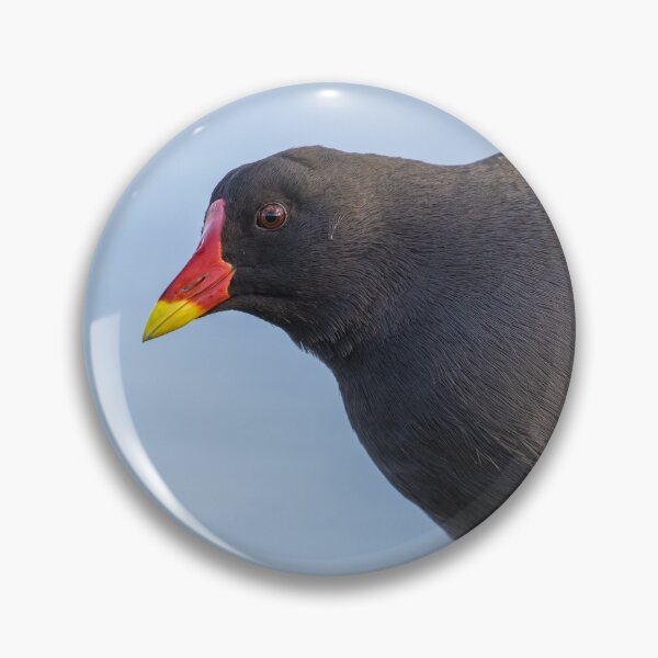 Item preview, Moorhen designed and sold by LaurenTucker.