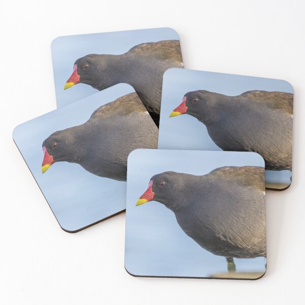Item preview, Moorhen designed and sold by LaurenTucker.