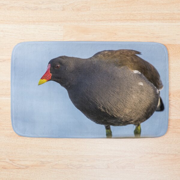 Item preview, Moorhen designed and sold by LaurenTucker.