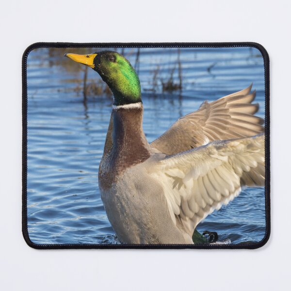 Item preview, Mallard designed and sold by LaurenTucker.