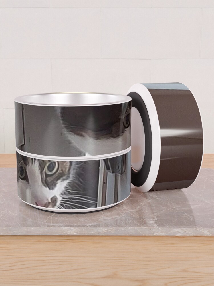 Alternate view of Cat Entering a House Pet Bowl