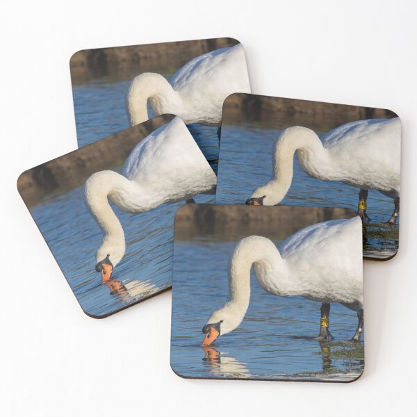 Item preview, Mute Swan designed and sold by LaurenTucker.