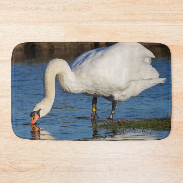 Item preview, Mute Swan designed and sold by LaurenTucker.