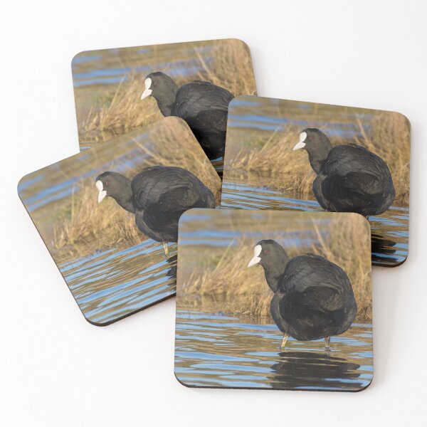 Item preview, Coot designed and sold by LaurenTucker.