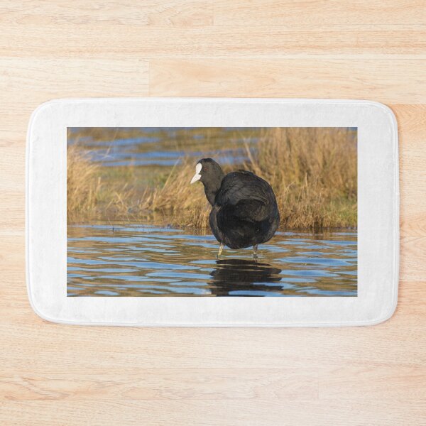 Item preview, Coot designed and sold by LaurenTucker.