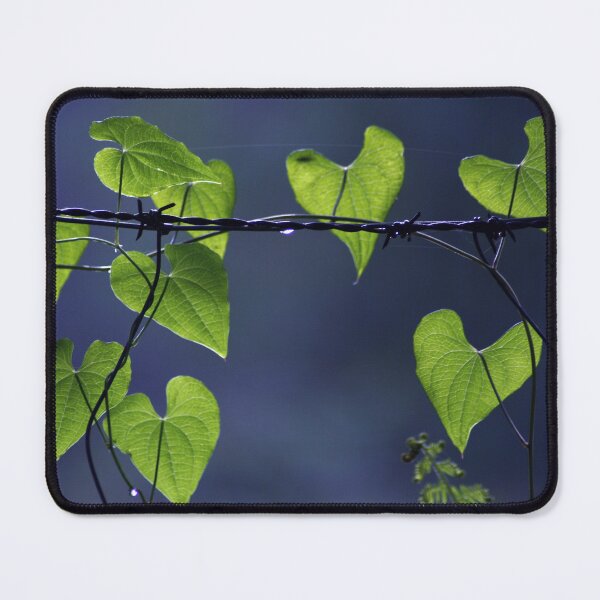 Item preview, backlit leaves designed and sold by iago rodriguez dopico.