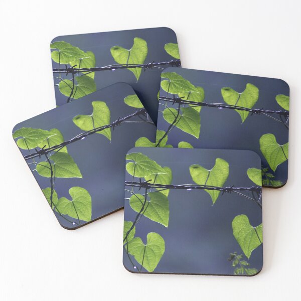 Item preview, backlit leaves designed and sold by iago rodriguez dopico.