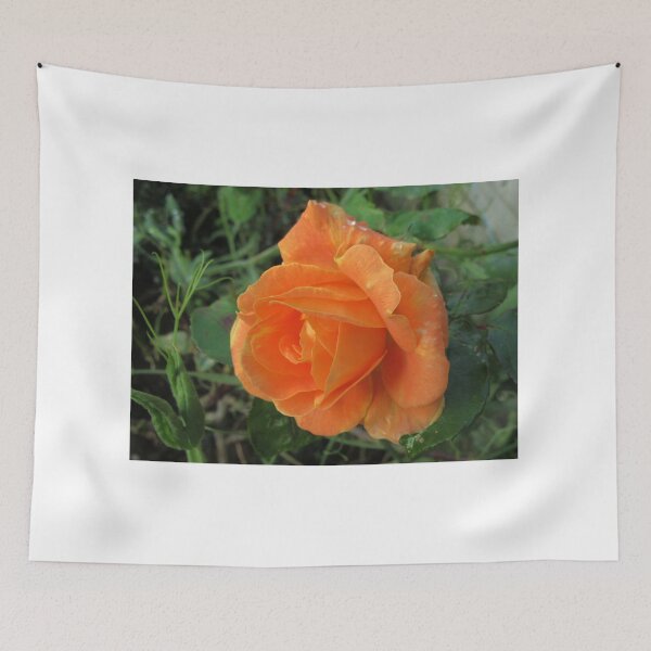 Item preview, A Summer Rose In Autumn designed and sold by lezvee.