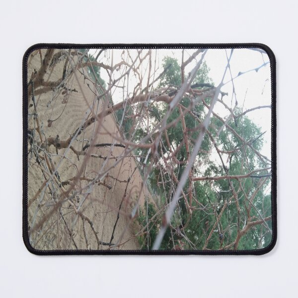 Item preview, Nature bush designed and sold by The-design24.