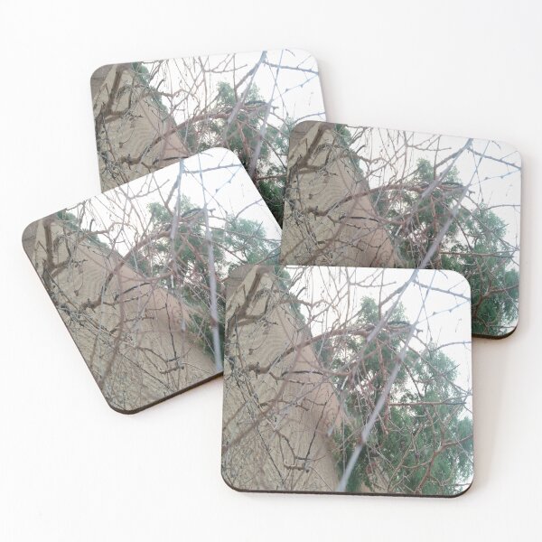 Aperçu de l'œuvre Buisson naturel créée et vendue par The-design24.