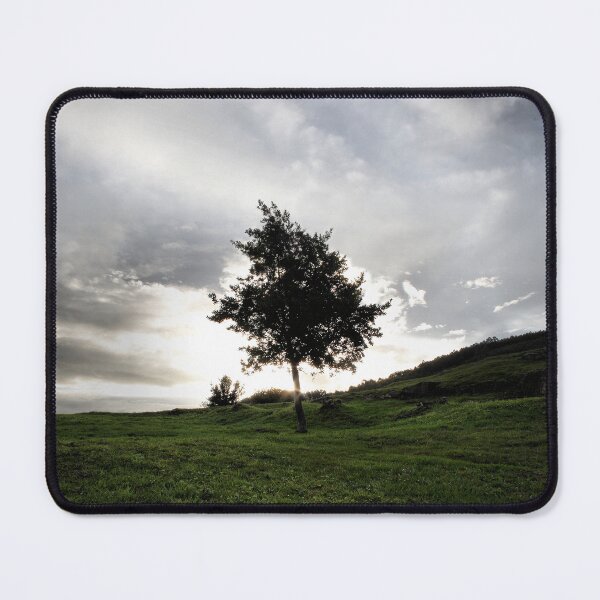 Item preview, backlit tree designed and sold by iago rodriguez dopico.