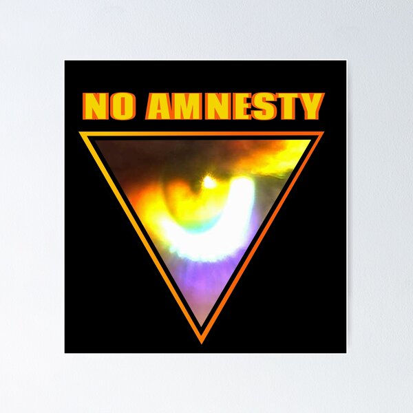 Item preview, NO AMNESTY!  designed and sold by Artistability.