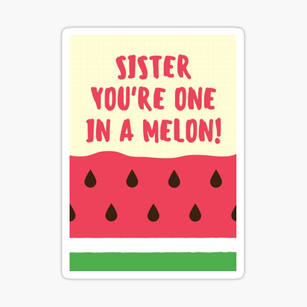 Perfect Gift for the sister in your life, Fun sister gift and