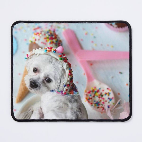 Item preview, Maltese Sprinkle designed and sold by toppopin.