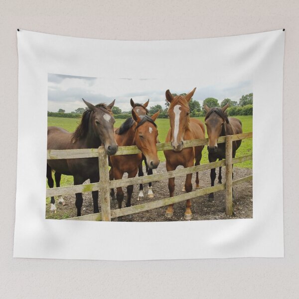Item preview, Horse Friends designed and sold by AnnDixon.