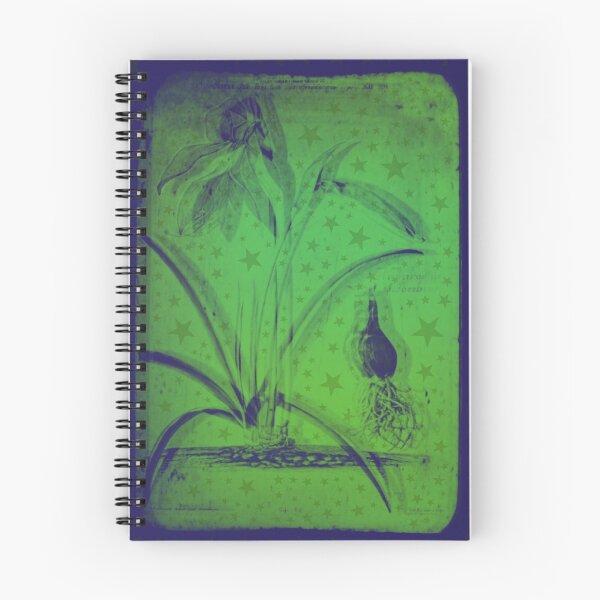 Item preview, Sprekelia designed and sold by Camilo Esparza.