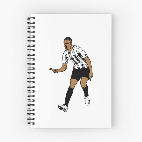 Item preview, Alexander Isak designed and sold by Truefans.