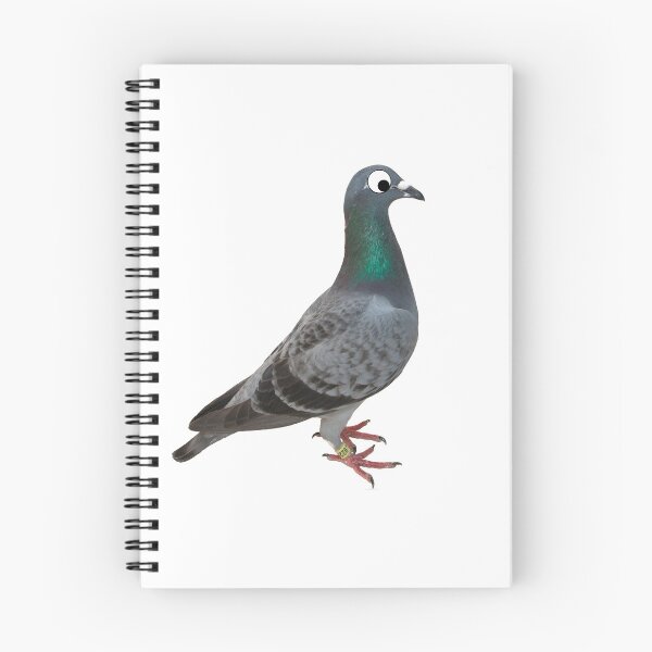 Item preview, Pigeon With Eyes designed and sold by Mango.