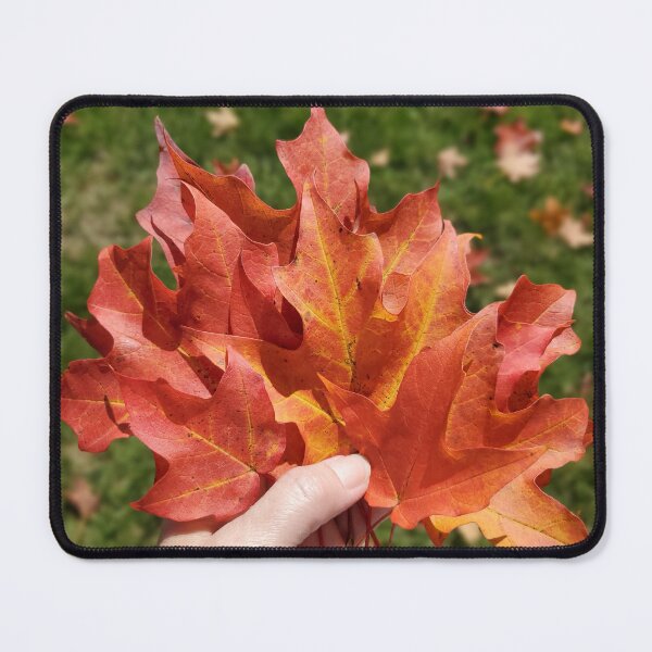Item preview, Sugar Maple Leaves designed and sold by SusanSeamaiden.