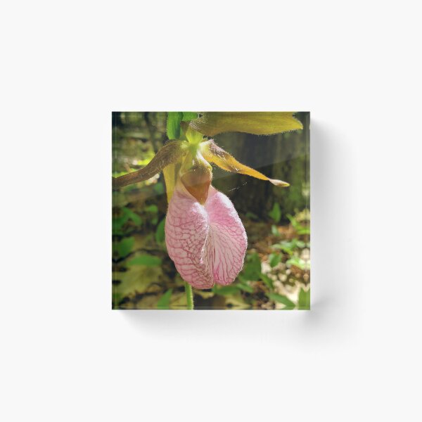 Item preview, Pink Lady's Slipper designed and sold by SusanSeamaiden.
