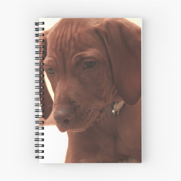 Item preview, Vizsla Puppy designed and sold by Tess Dunlop.