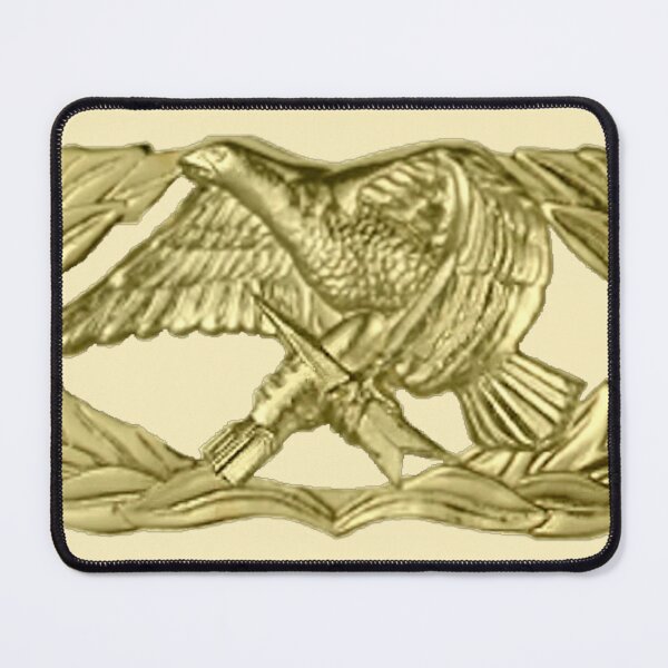Item preview, AFSC 2W1X1 Aircraft Armament Systems Occupational Badge designed and sold by RBcostco7.