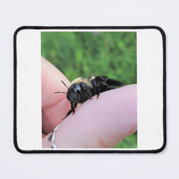 Item preview, Carpenter Bee on My Thumb designed and sold by SusanSeamaiden.