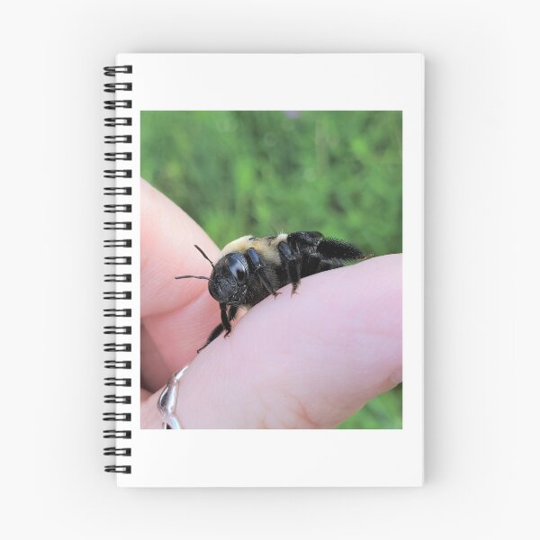 Item preview, Carpenter Bee on My Thumb designed and sold by SusanSeamaiden.