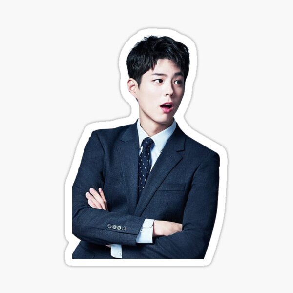 Park Bo Gum Stickers for Sale