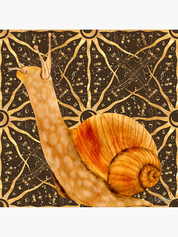 "CUTE SNAIL STUFF SNAILS VINTAGE SNAILS RETRO" Sticker for Sale by