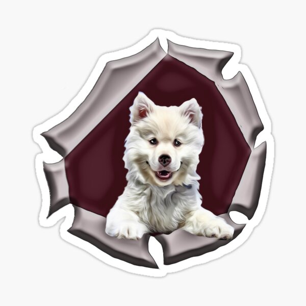 Item preview, American Eskimo "Burst Out" designed and sold by IowaArtist.