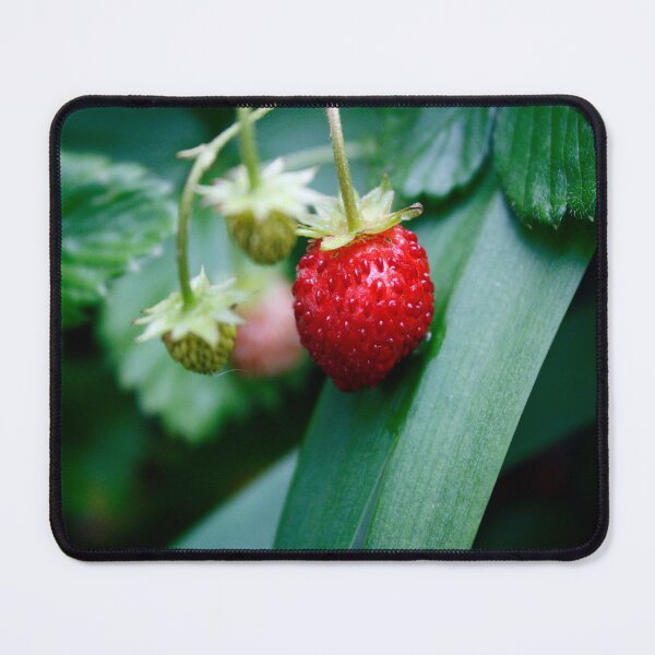 Item preview, Wild strawberries designed and sold by iago rodriguez dopico.