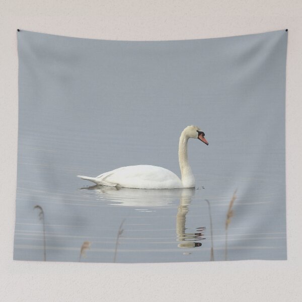 Item preview, Swan, nature, wild birds, wildlife gifts designed and sold by Sandra O'Toole.