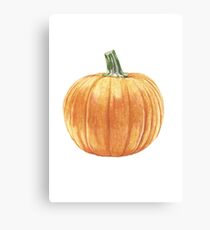 Pumpkin Canvas Print