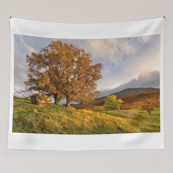 Item preview, Schiehallion, Autumn Scene from Tullochroisk Scotland. designed and sold by PhotosEcosse.